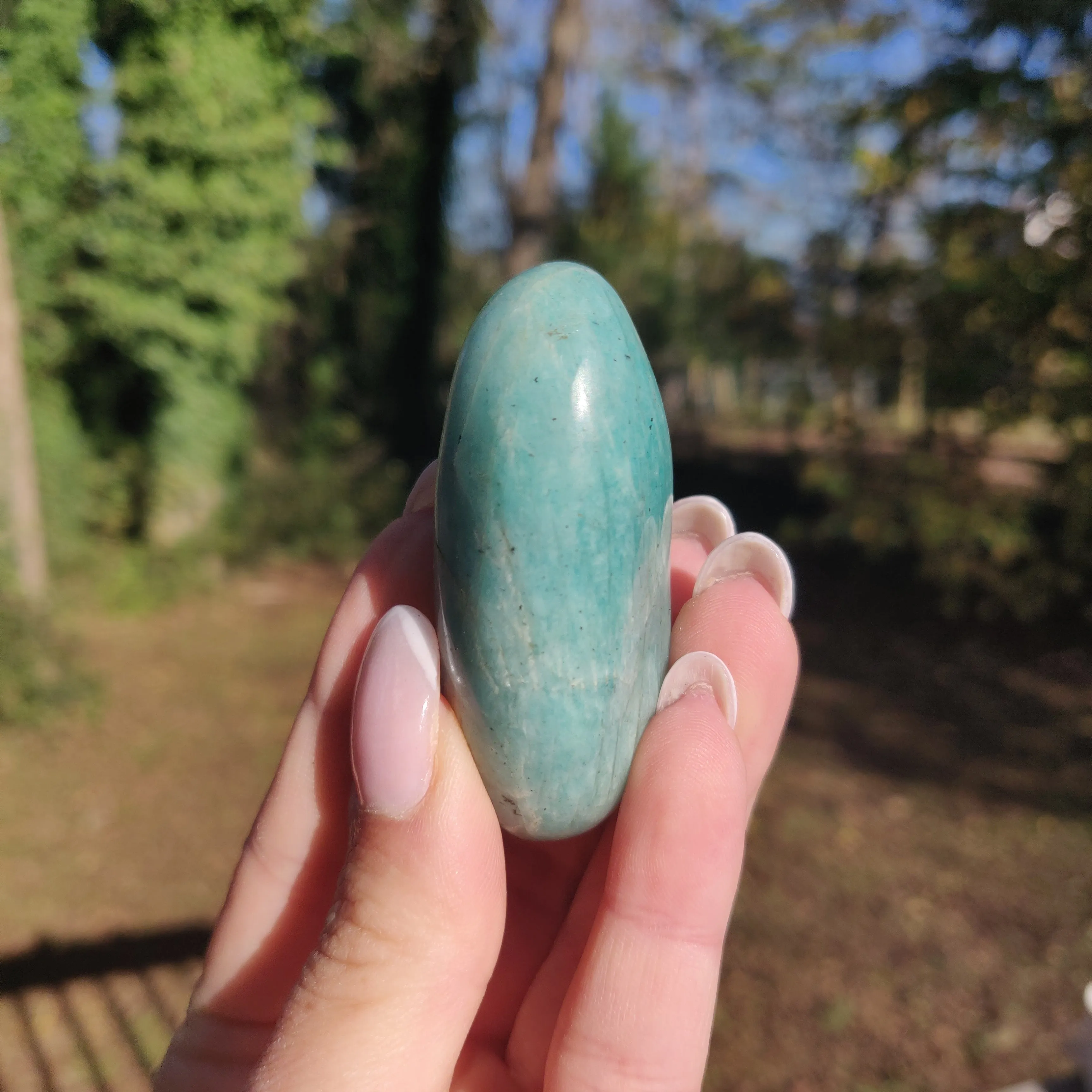 Amazonite Palm Stone (#14)