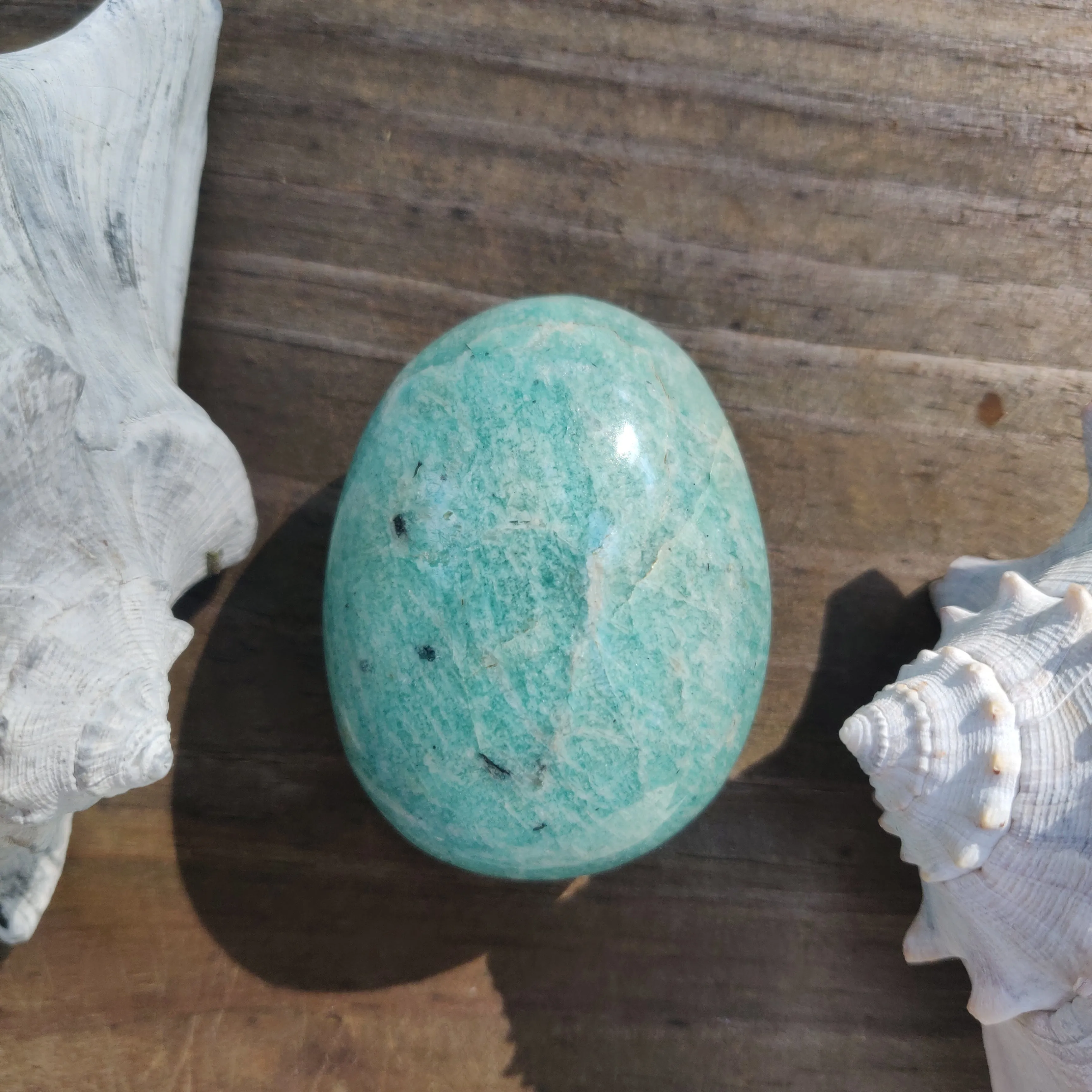 Amazonite Palm Stone (#24)