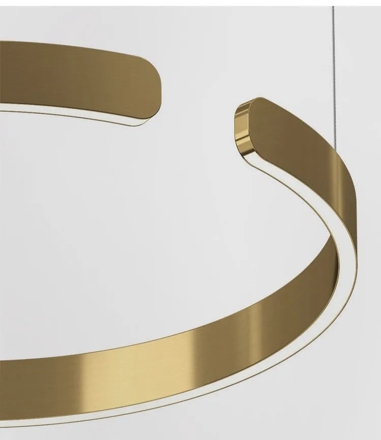 YLK Bracie